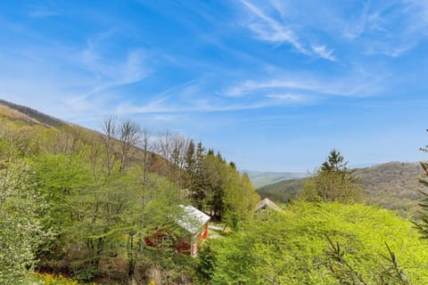 Diamond Ridge Getaway Chalet in Valley Creek