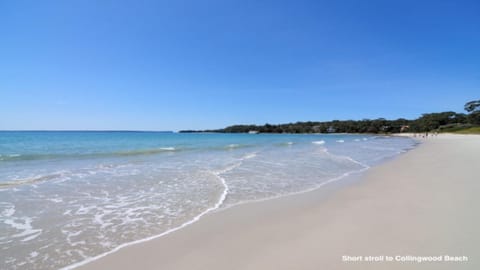 On Collingwood Beach - House in Vincentia