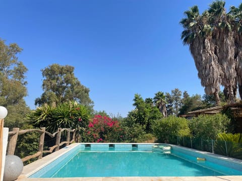 Day, Garden, Garden view, Pool view, Swimming pool