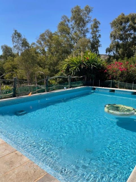 Day, Garden, Garden view, Pool view, Swimming pool