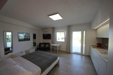 Bed, TV and multimedia, Kitchen or kitchenette, Photo of the whole room, Bedroom, minibar