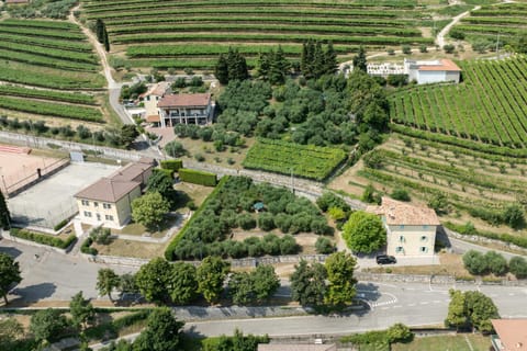 Neighbourhood, Street view