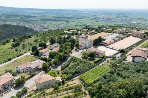 Neighbourhood, Natural landscape, Bird's eye view