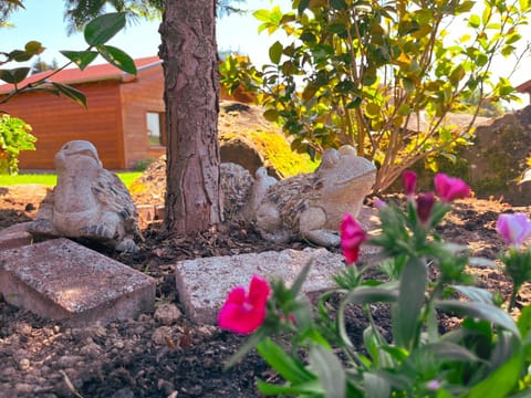 Spring, Day, Garden, Garden view