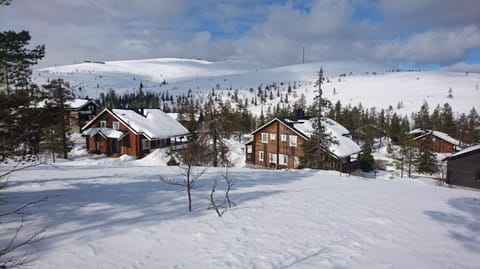 Property building, Day, Winter, Mountain view