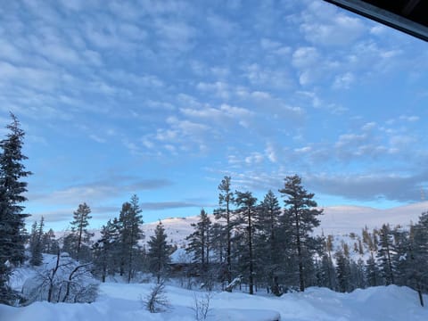 Winter, View (from property/room), Mountain view