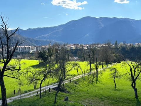 City view, Mountain view