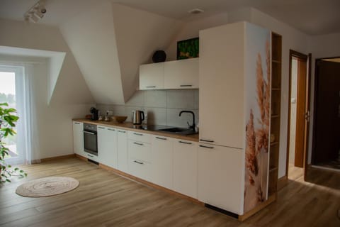 Kitchen or kitchenette, dishwasher, oven, stove