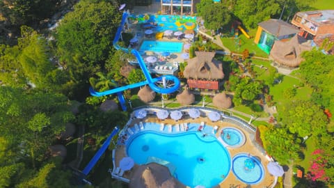 Natural landscape, Bird's eye view, Garden, Aqua park, Pool view, Swimming pool