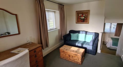 Bed, Living room, Photo of the whole room, Seating area, Bedroom