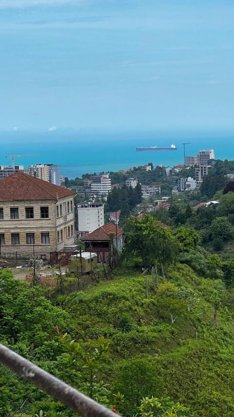 Villa Gantiadi House in Batumi