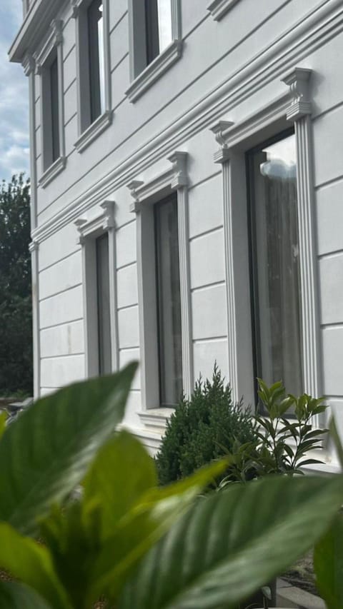 Property building, Day, Garden view