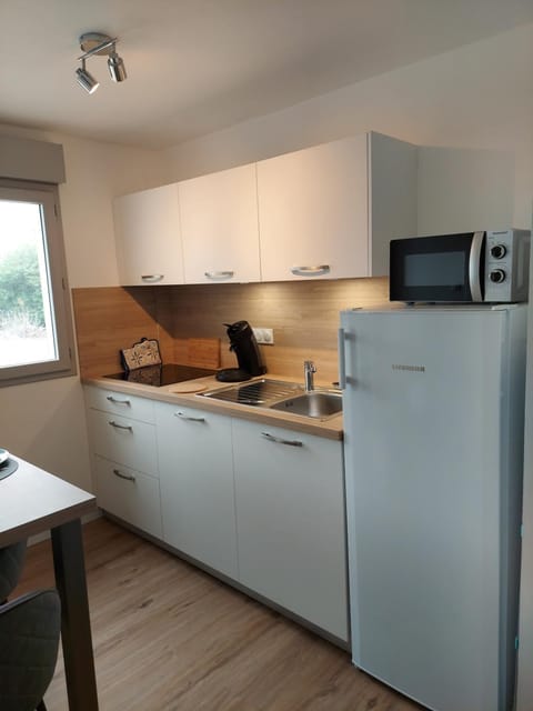 Coffee/tea facilities, Kitchen or kitchenette, dishwasher, minibar, oven, stove, toaster