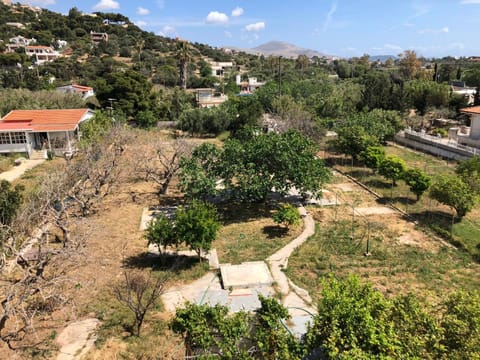 Natural landscape, Garden, Garden view, Mountain view