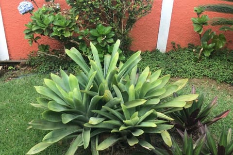 Casa Família com Piscina House in Bertioga