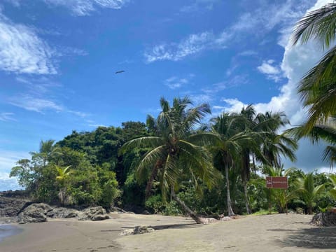 Playa Guachalito Bed and Breakfast in Choco, Colombia