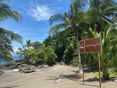 Playa Guachalito Bed and Breakfast in Choco, Colombia