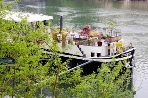 Beautiful boathouse in Paris for JO Docked boat in Puteaux