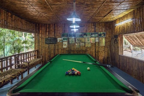 Billiard, Game Room