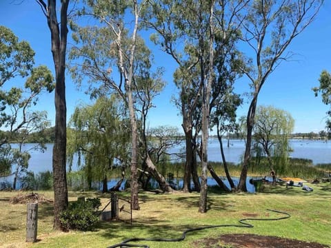 Day, River view