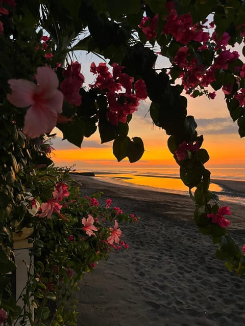 Natural landscape, Beach, Sea view, Sunset