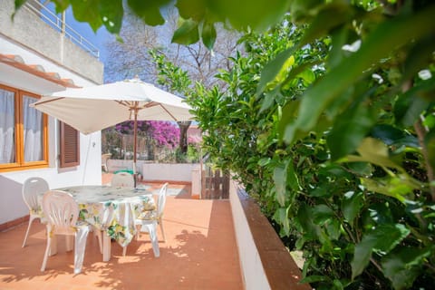 Patio, Day, Dining area