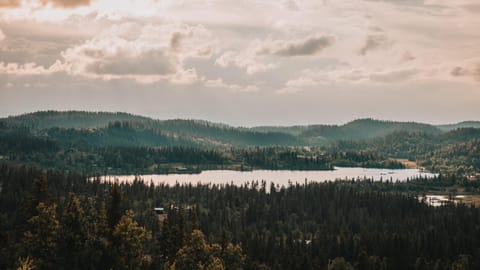 Lake view, Mountain view