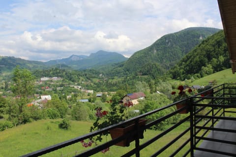 Spring, Natural landscape, View (from property/room), Mountain view