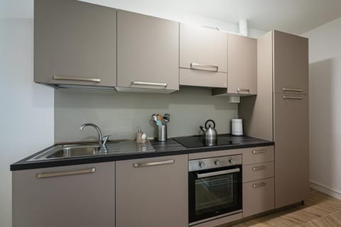 dishwasher, flat iron, minibar, oven, stove, kitchen