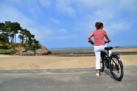 Natural landscape, Cycling, Sea view