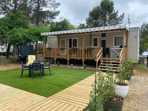 Patio, Garden, Garden view