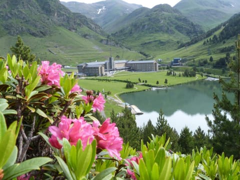 Property building, Natural landscape