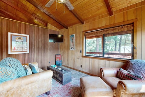 Lakefront Cabin Retreat (Cabin A) House in La Plata County