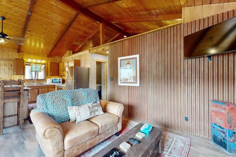 Lakefront Cabin Retreat (Cabin A) House in La Plata County