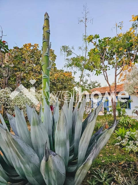 Linda casa de campo em Pirenopolis House in Pirenópolis