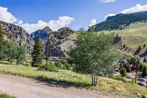 Little Aspen Haus in Creede