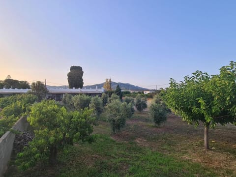 Natural landscape, Garden view