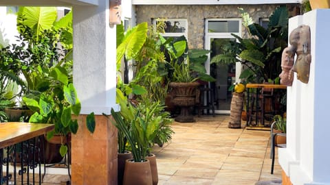 Patio, Day, Garden, Garden view