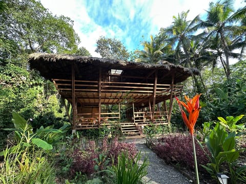 Property building, Day, Natural landscape, Garden, Garden view