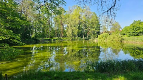 Natural landscape, Garden, Lake view