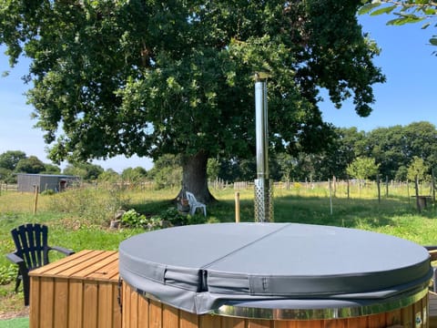 Garden, Hot Tub, Garden view