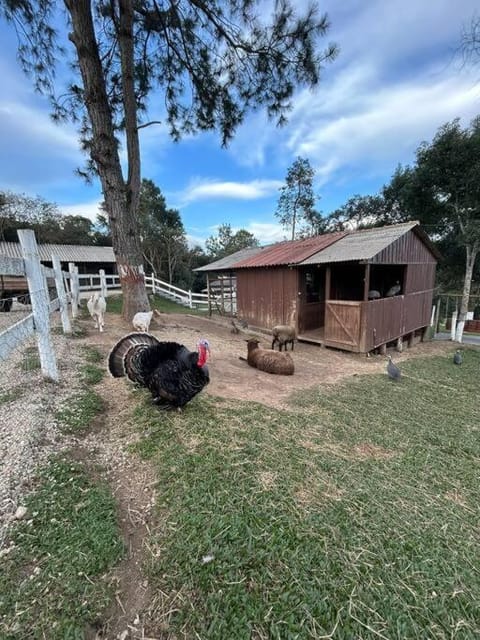 Casa de Campo Chácara Lusitano House in State of Paraná