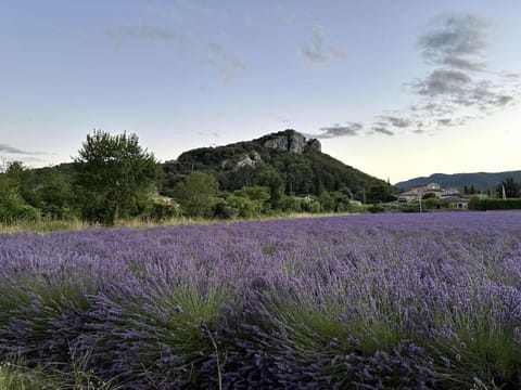 Bel appart - 3 ch Vallon pont d 'arc Apartment in Vallon-Pont-d'Arc