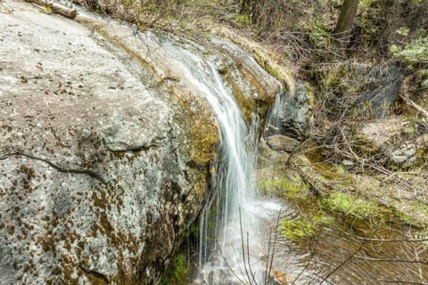 Waterfall Lodge-ac-ideal For Family Gatherings! House in Shaver Lake