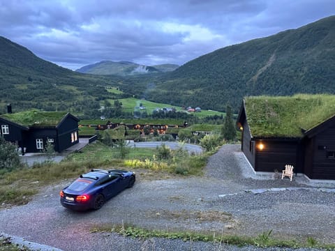 Myrkdalen Lodge II House in Vestland