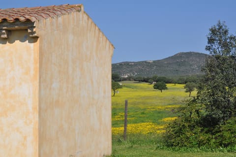 B&B Pubulos Bed and Breakfast in Olbia