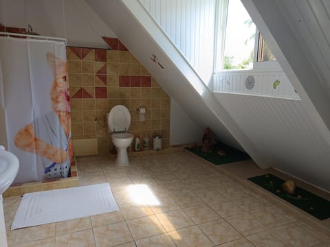 Toilet, Bathroom