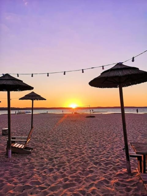 Natural landscape, Beach, Sunset