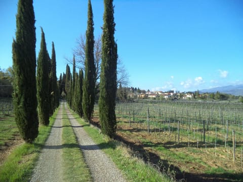 Facade/entrance, Garden view