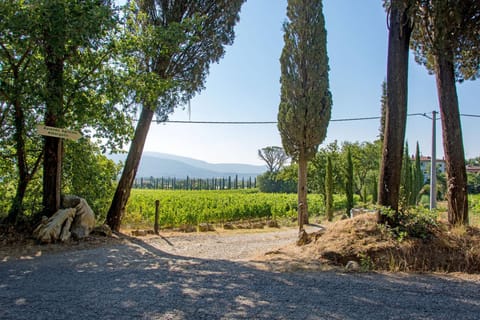 Facade/entrance, Garden view, Landmark view, Street view, Street view